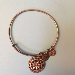 Compass Alex and Ani